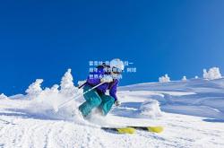 雷竞技:费德勒退役一周年，传奇谢幕，网球世界永恒的回响