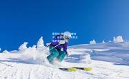 雷竞技:世锦赛巅峰对决，新星崛起与传奇卫冕的激情碰撞