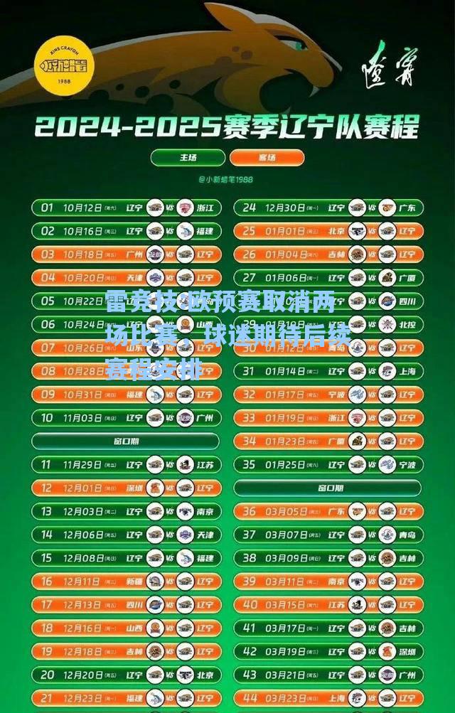 欧预赛取消两场比赛，球迷期待后续赛程安排