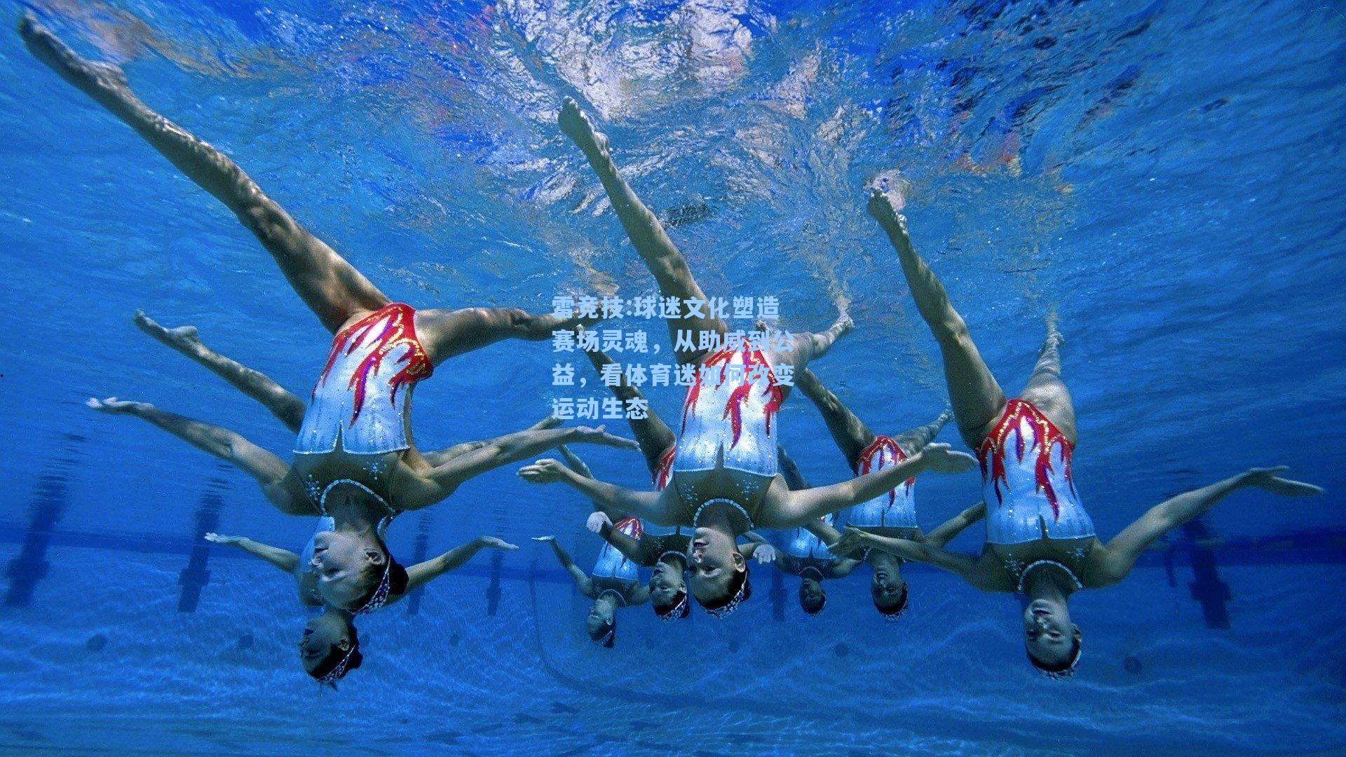 球迷文化塑造赛场灵魂，从助威到公益，看体育迷如何改变运动生态